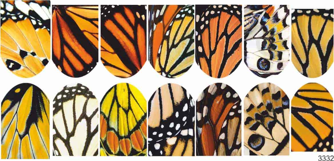 Слайдер-дизайн Крылья бабочек из каталога Цветные на светлый фон в интернет-магазине BPW.style