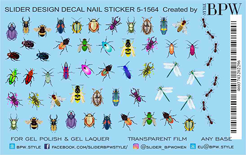 Слайдер-дизайн Жуки из каталога Цветные на любой фон в интернет-магазине BPW.style