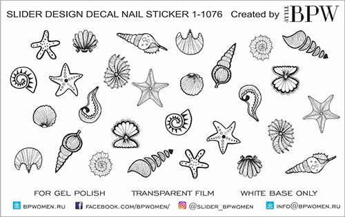 Слайдер-дизайн Морские ракушки из каталога Цветные на светлый фон в интернет-магазине BPW.style