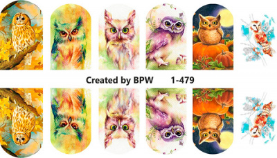 Слайдер-дизайн Совы из каталога Цветные на светлый фон, в интернет-магазине BPW.style