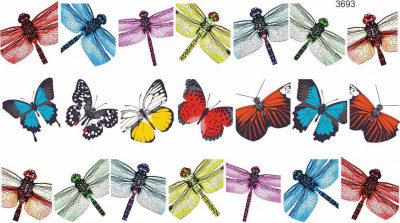 Слайдер-дизайн Цветные бабочки из каталога Цветные на светлый фон, в интернет-магазине BPW.style