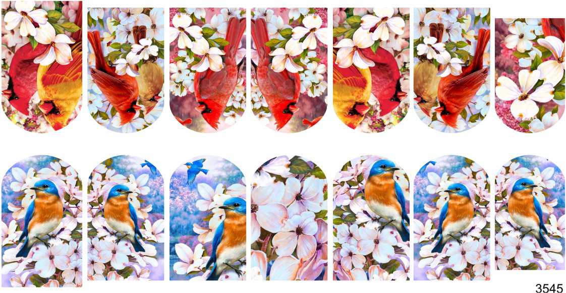 Слайдер-дизайн Птицы в цветах из каталога Цветные на светлый фон в интернет-магазине BPW.style