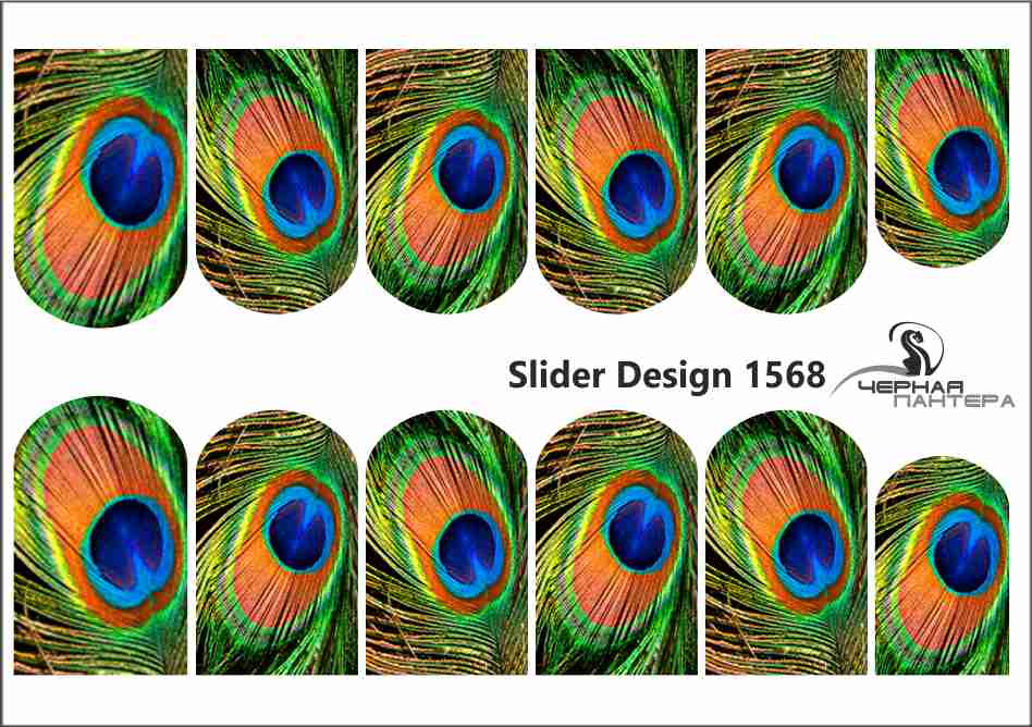 Слайдер-дизайн Перья павлина из каталога Цветные на светлый фон в интернет-магазине BPW.style