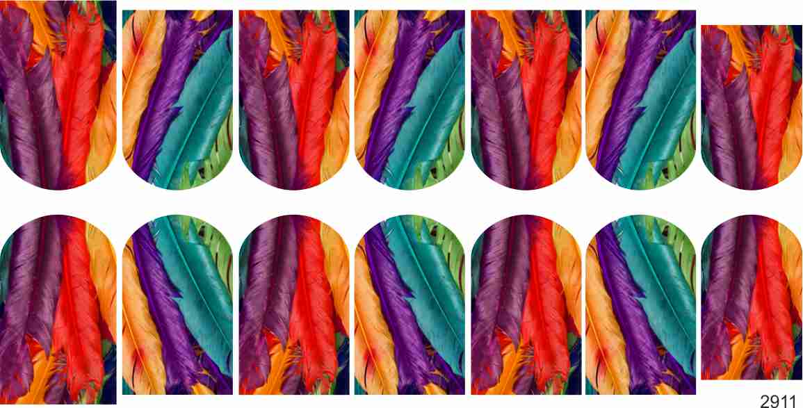 Слайдер-дизайн Цветные перья из каталога Цветные на светлый фон в интернет-магазине BPW.style