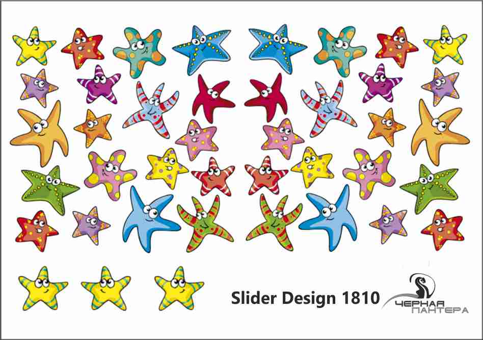Слайдер-дизайн Морские раковины из каталога Цветные на светлый фон в интернет-магазине BPW.style