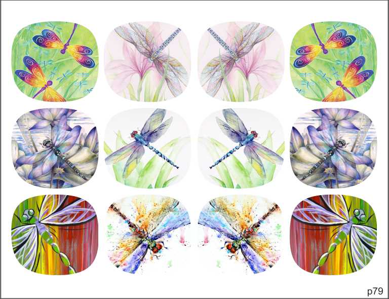Слайдер-дизайн Стрекозы из каталога Цветные на светлый фон в интернет-магазине BPW.style