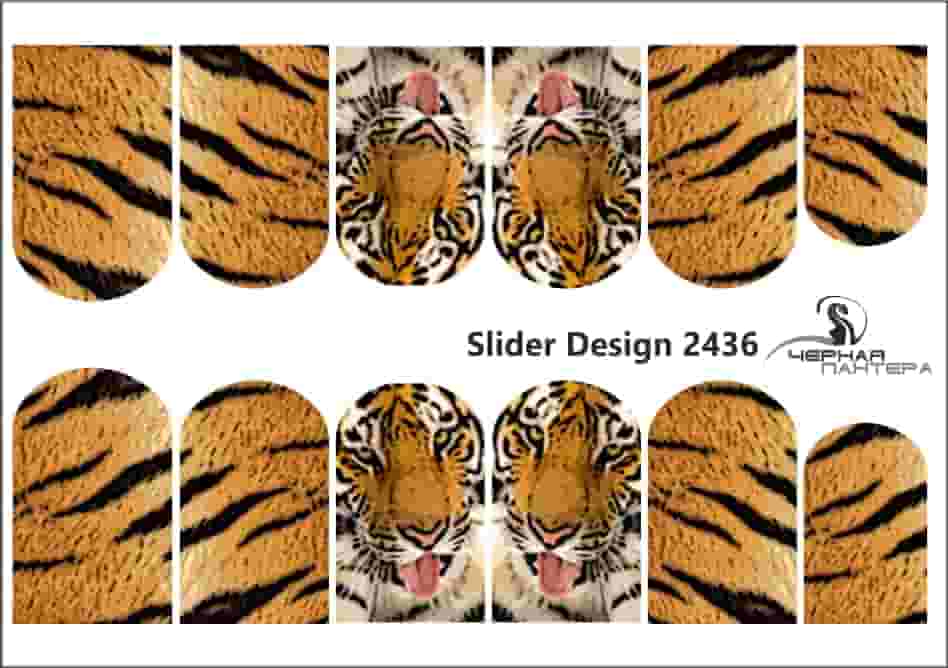 Слайдер-дизайн Тигр из каталога Цветные на светлый фон в интернет-магазине BPW.style