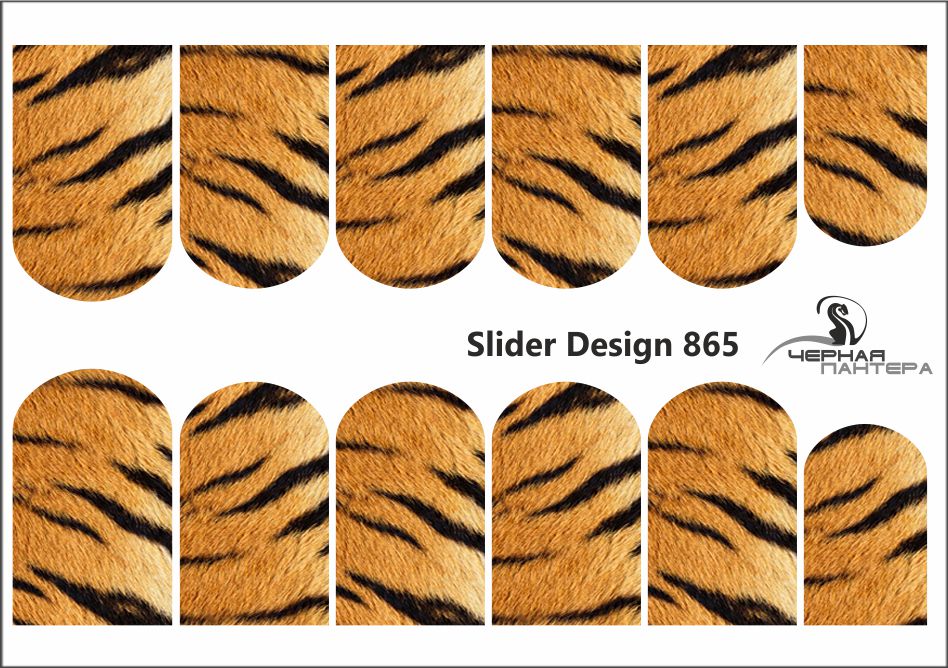 Слайдер-дизайн Шкура тигра из каталога Цветные на светлый фон в интернет-магазине BPW.style