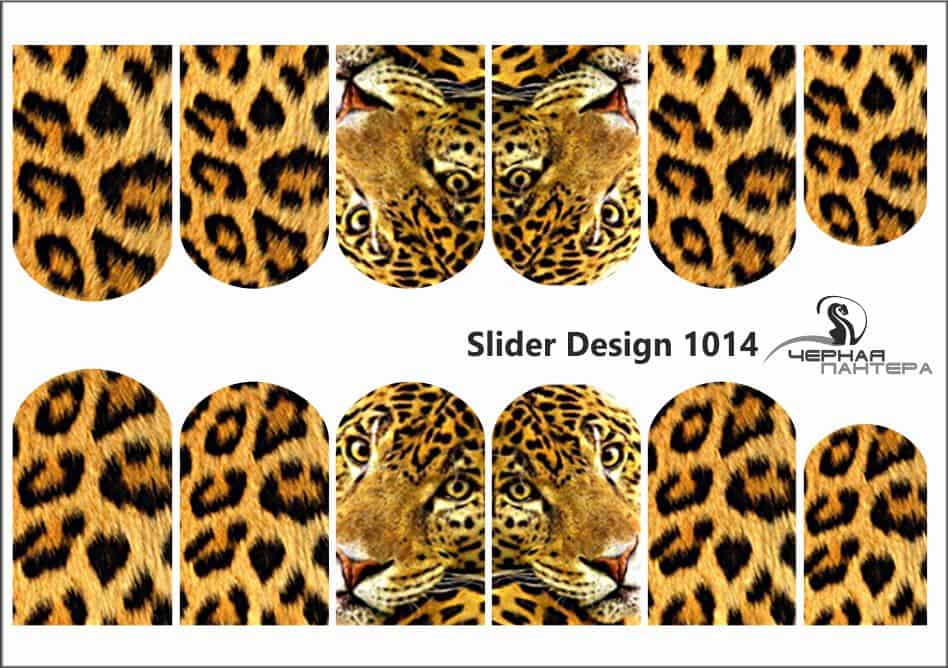 Слайдер-дизайн Леопард из каталога Цветные на светлый фон в интернет-магазине BPW.style