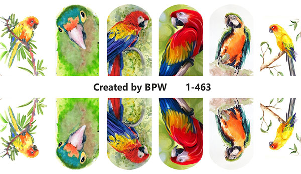 Слайдер-дизайн Попугаи из каталога Цветные на светлый фон в интернет-магазине BPW.style