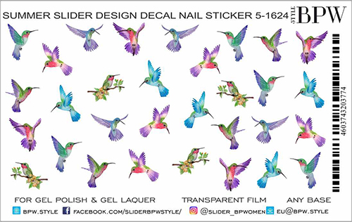 Слайдер-дизайн Колибри из каталога Цветные на любой фон в интернет-магазине BPW.style