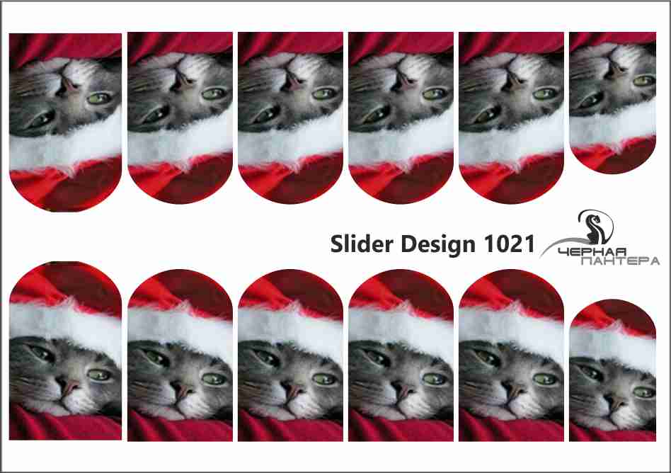 Слайдер-дизайн Санта-кот из каталога Цветные на светлый фон в интернет-магазине BPW.style