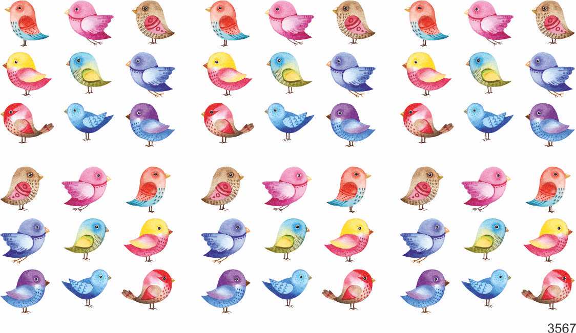 Слайдер-дизайн Птички из каталога Цветные на любой фон в интернет-магазине BPW.style