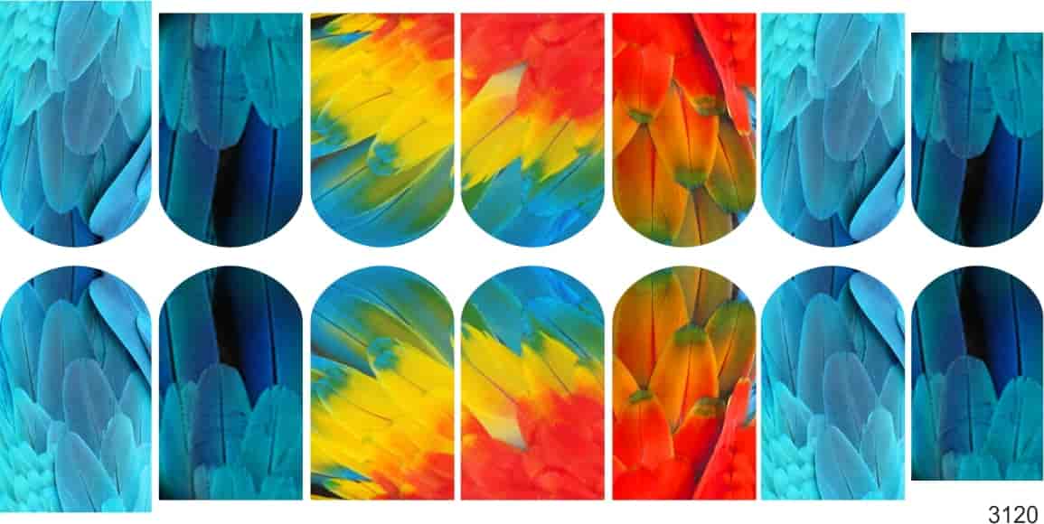 Слайдер-дизайн Перья из каталога Цветные на светлый фон в интернет-магазине BPW.style