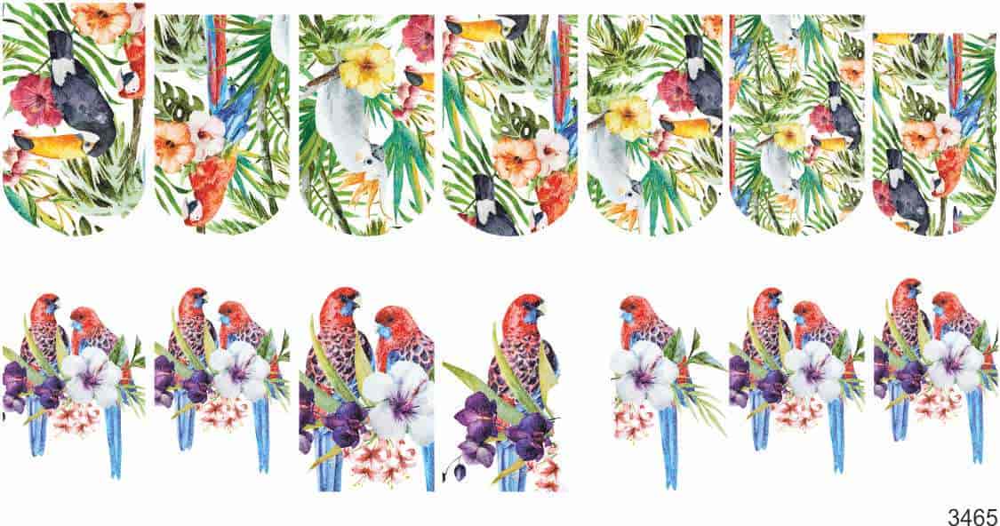 Слайдер-дизайн Тропические птицы из каталога Цветные на светлый фон в интернет-магазине BPW.style