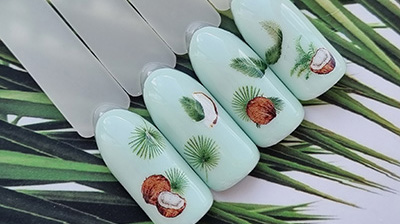 Фото Тропический дизайн с кокосиками из категории Мастер-классы с нашими слайдерами
