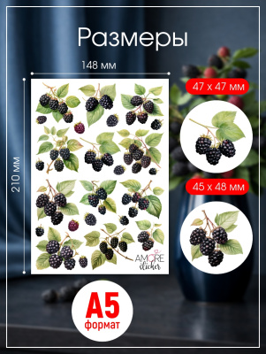 Наклейки переводные для свечей и декора Ежевика из каталога Наклейки декупажные для декора свечей, яиц, изделий из гипса, в интернет-магазине BPW.style