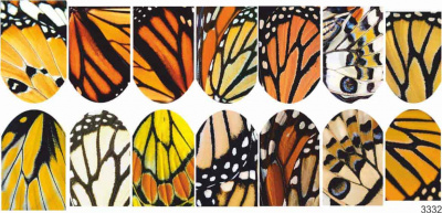 Слайдер-дизайн Крылья бабочек из каталога Цветные на светлый фон, в интернет-магазине BPW.style