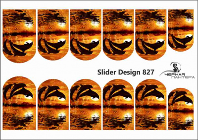 Слайдер-дизайн Закат с дельфинами из каталога Цветные на светлый фон, в интернет-магазине BPW.style