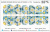 Слайдер-дизайн Ромашки из каталога Цветные на светлый фон, в интернет-магазине BPW.style