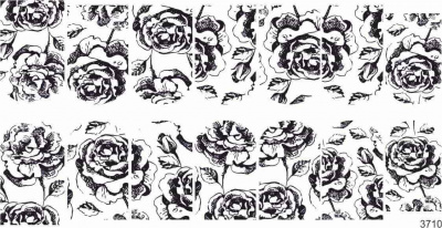 Слайдер-дизайн Черная роза графика из каталога Цветные на светлый фон, в интернет-магазине BPW.style