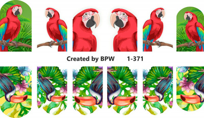Слайдер-дизайн Тропические птицы из каталога Цветные на светлый фон, в интернет-магазине BPW.style