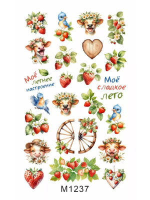 Слайдер Mezze набор Лето из каталога Слайдеры MEZZE Наборы 8 шт, в интернет-магазине BPW.style