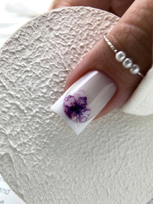 Слайдер-дизайн Цветы акварель надписи из каталога Цветные на любой фон, в интернет-магазине BPW.style