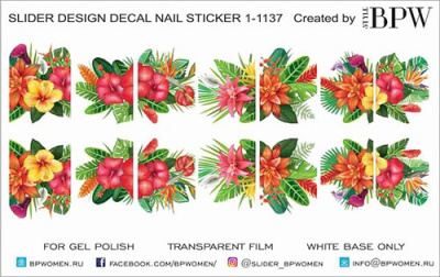 Слайдер-дизайн Тропические цветы из каталога Цветные на светлый фон, в интернет-магазине BPW.style