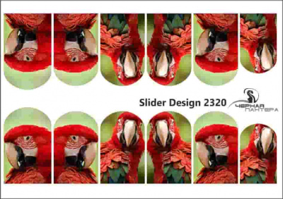 Слайдер-дизайн Попугаи из каталога Цветные на светлый фон, в интернет-магазине BPW.style