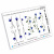 Слайдер-дизайн Синие цветы из каталога Цветные на любой фон, в интернет-магазине BPW.style