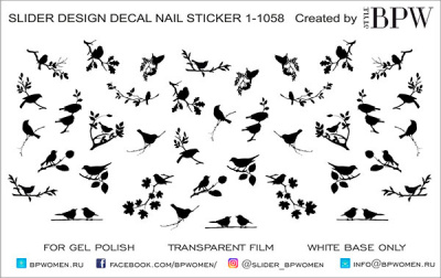 Слайдер-дизайн Птицы графика из каталога Цветные на светлый фон, в интернет-магазине BPW.style
