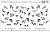 Слайдер-дизайн Птицы графика из каталога Цветные на светлый фон, в интернет-магазине BPW.style