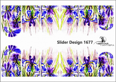 Слайдер-дизайн Гладиолусы из каталога Цветные на светлый фон, в интернет-магазине BPW.style