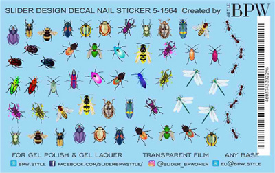 Слайдер-дизайн Жуки из каталога Цветные на любой фон, в интернет-магазине BPW.style