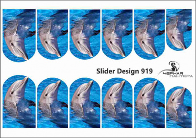 Слайдер-дизайн Дельфины из каталога Цветные на светлый фон, в интернет-магазине BPW.style