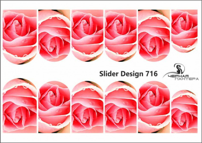 Слайдер-дизайн Розовые розы из каталога Цветные на светлый фон, в интернет-магазине BPW.style