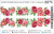 Слайдер-дизайн Пионы из каталога Цветные на любой фон, в интернет-магазине BPW.style