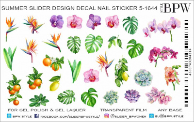 Слайдер-дизайн Тропический микс из каталога Цветные на любой фон, в интернет-магазине BPW.style