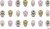 Слайдер-дизайн Черепа с узорами из каталога Цветные на светлый фон, в интернет-магазине BPW.style