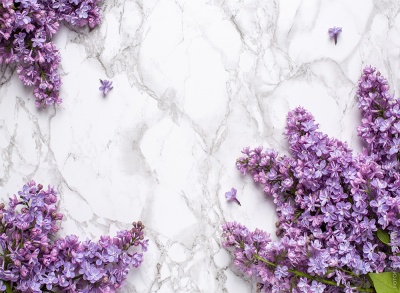 Фотофон 11 из каталога Фотофоны, в интернет-магазине BPW.style