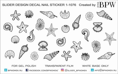 Слайдер-дизайн Морские ракушки из каталога Цветные на светлый фон, в интернет-магазине BPW.style