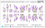 Слайдер-дизайн Лаванда из каталога Цветные на светлый фон, в интернет-магазине BPW.style