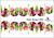Слайдер-дизайн Тюльпаны из каталога Цветные на светлый фон, в интернет-магазине BPW.style