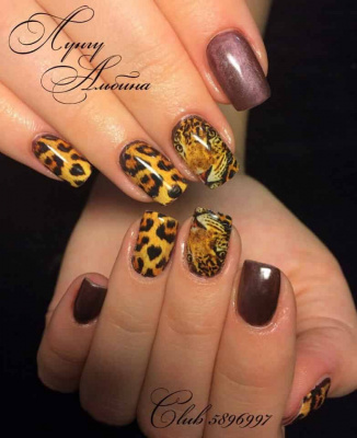 Слайдер-дизайн Леопард из каталога Цветные на светлый фон, в интернет-магазине BPW.style