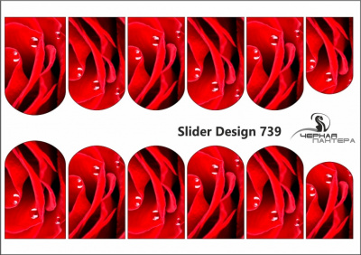 Слайдер-дизайн Красные розы из каталога Цветные на светлый фон, в интернет-магазине BPW.style