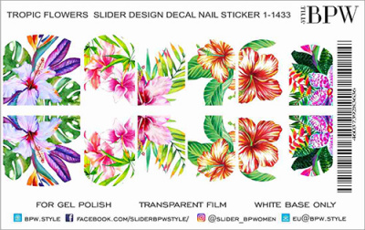 Слайдер-дизайн Тропики из каталога Цветные на светлый фон, в интернет-магазине BPW.style
