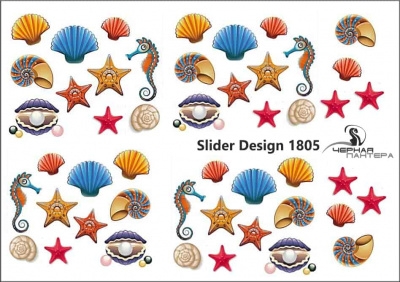 Слайдер-дизайн Морские раковины из каталога Цветные на светлый фон, в интернет-магазине BPW.style
