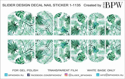 Слайдер-дизайн Тропики из каталога Цветные на светлый фон, в интернет-магазине BPW.style