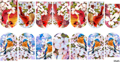 Слайдер-дизайн Птицы в цветах из каталога Цветные на светлый фон, в интернет-магазине BPW.style